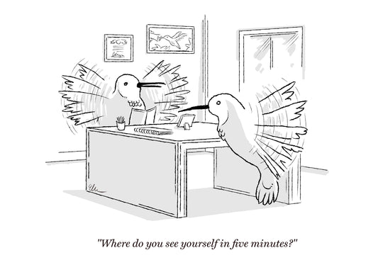 Hummingbird Interview Art Print